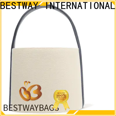 Bestway size women's canvas tote bags wholesale for shopping