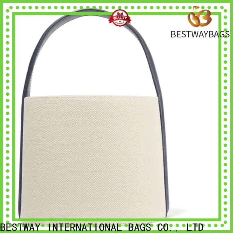 Bestway multi function canvas carry bags Supply for shopping