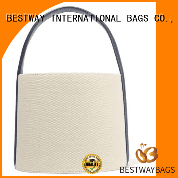 easy match ladies canvas bag plain online for travel
